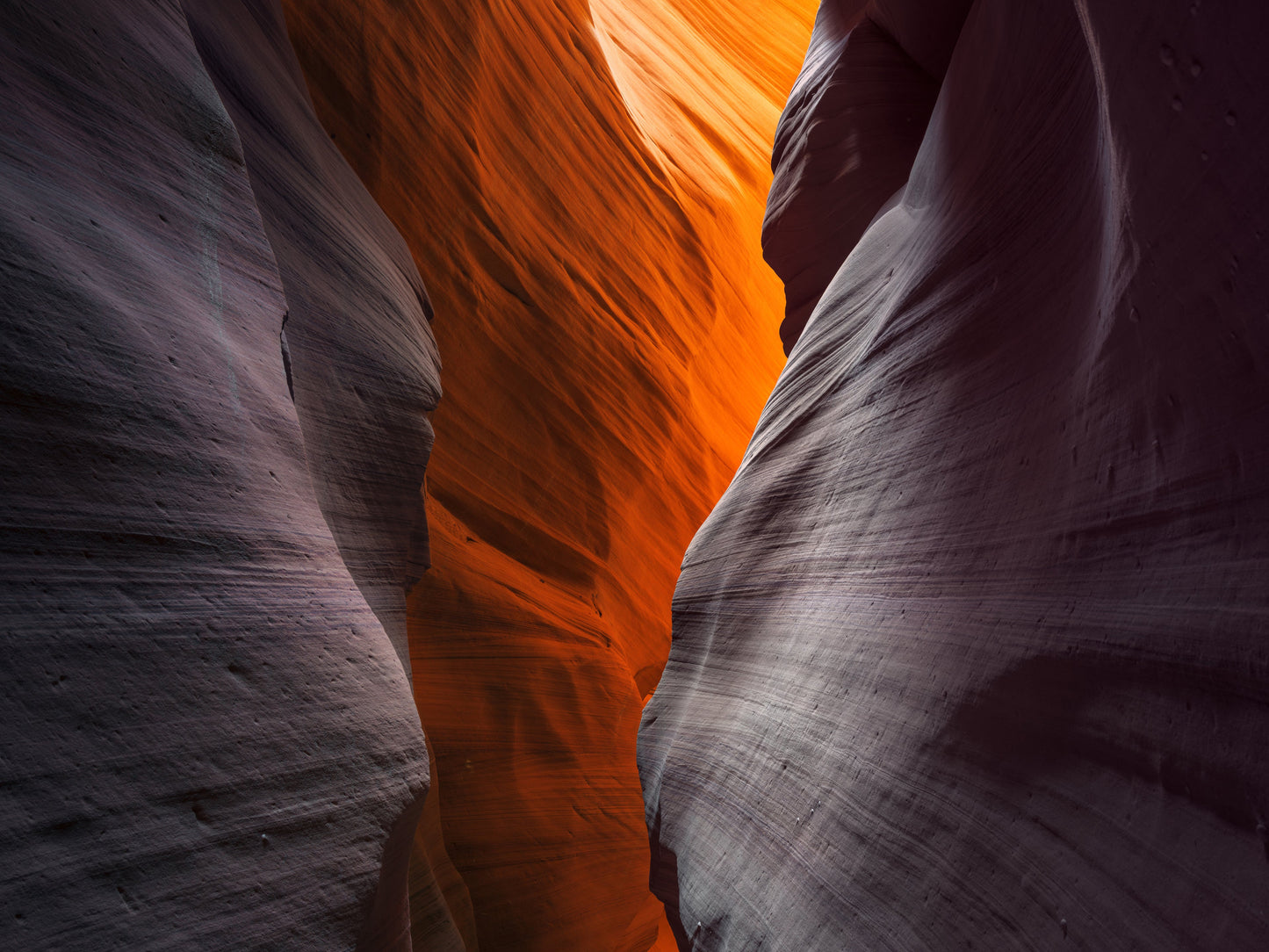 Cardiac Canyon Study 02