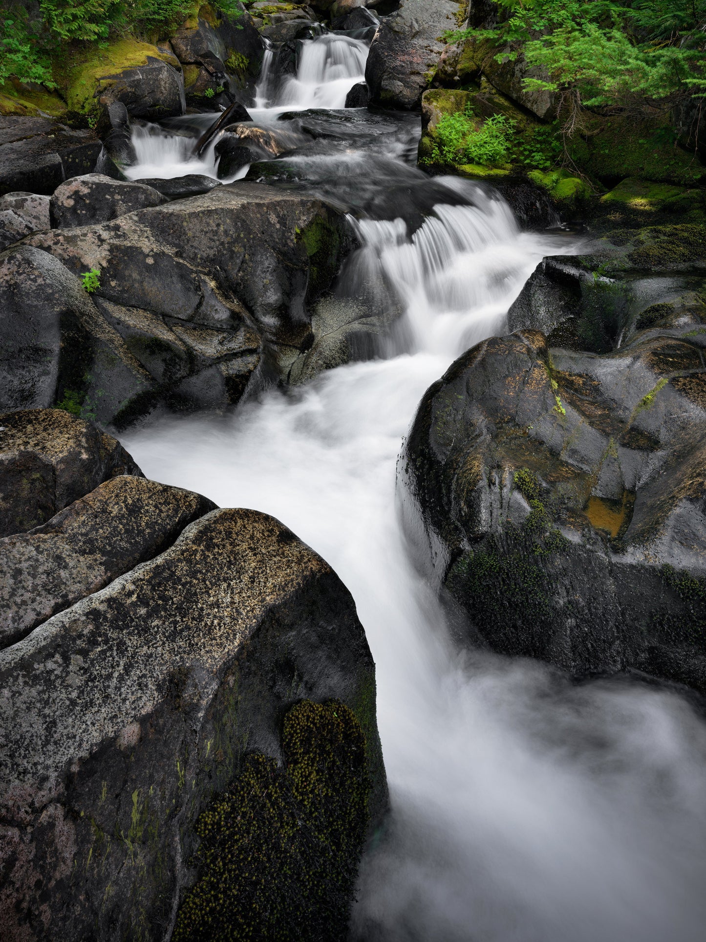 Paradise Cascades