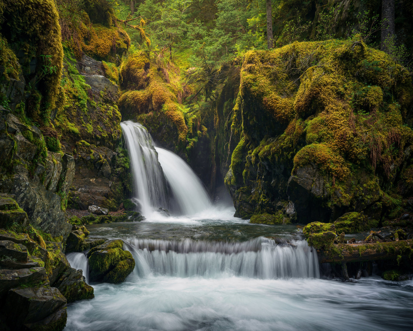 Virgin Creek Falls