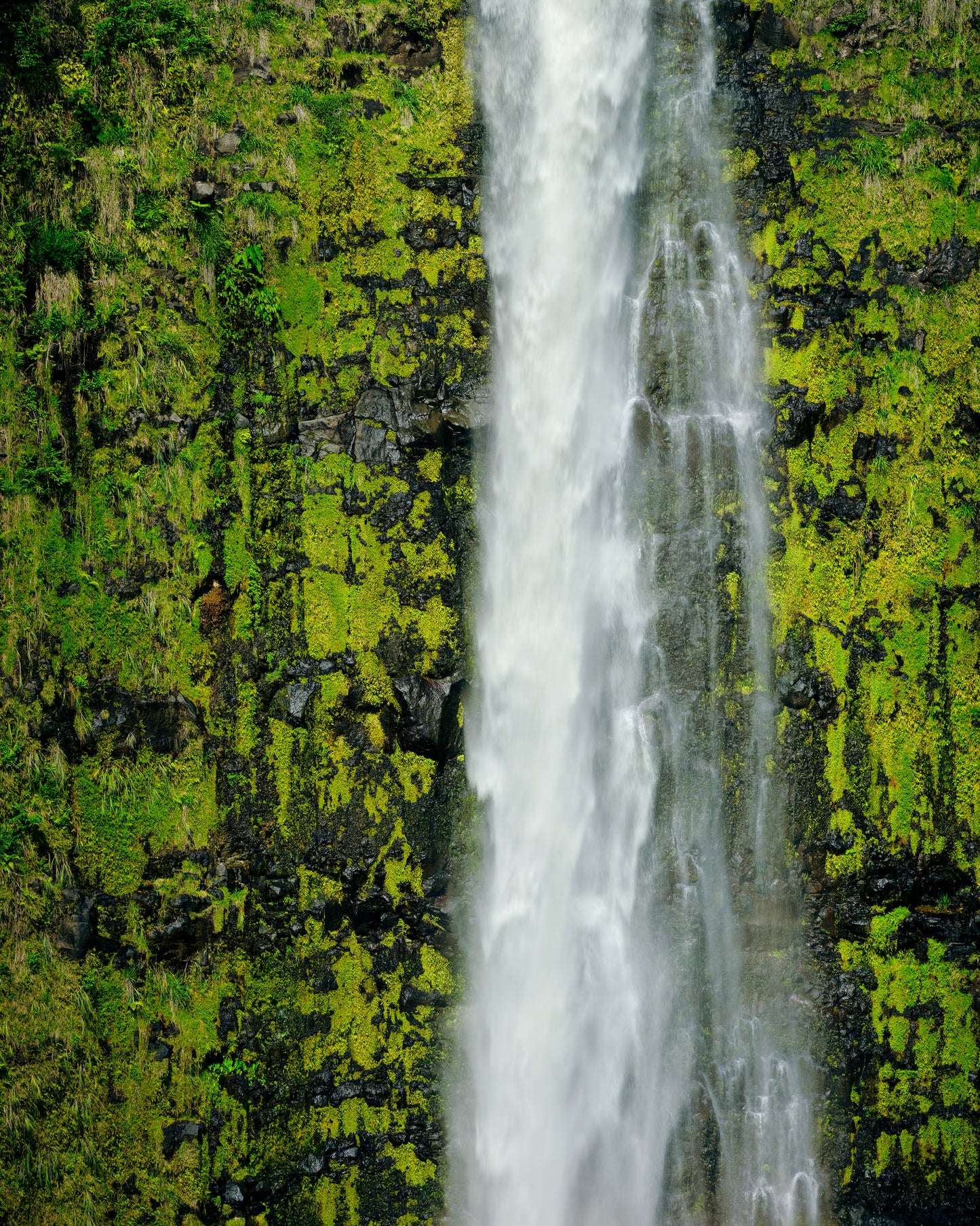 Akaka Falls Abstract