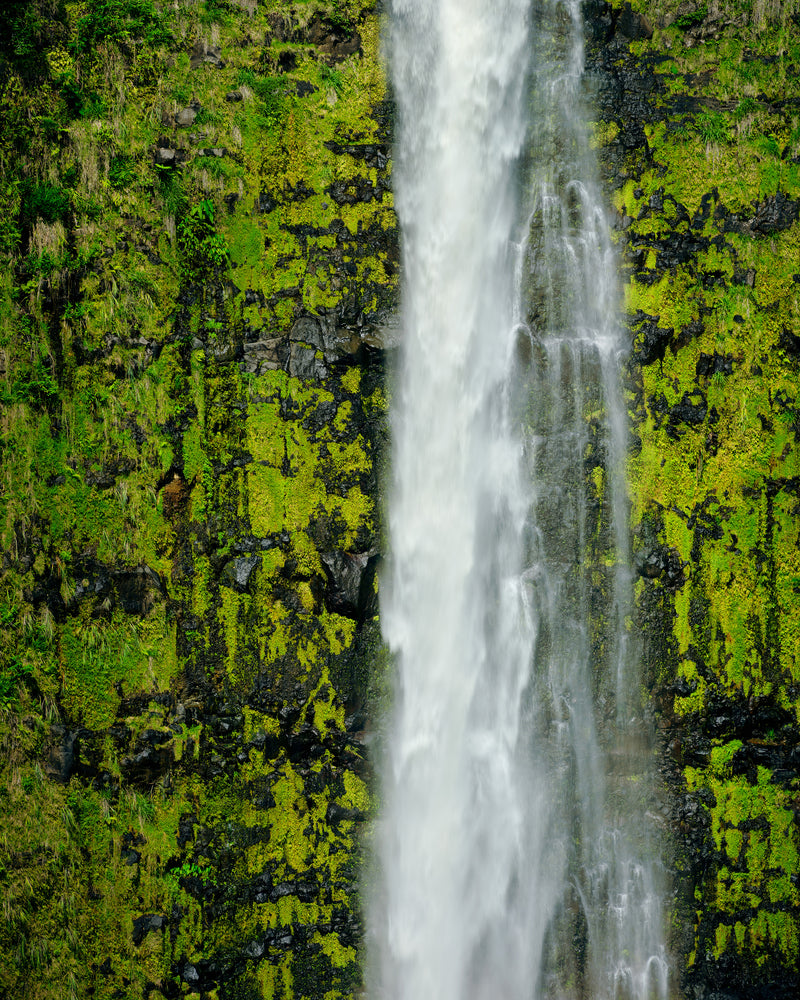 Akaka Falls Abstract