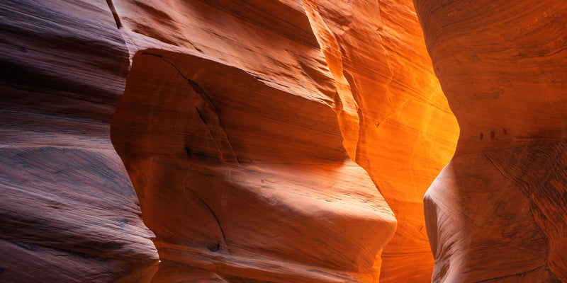 Cardiac Canyon Study 01