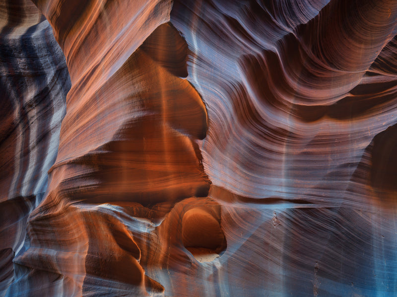 Cardiac Canyon Study 04