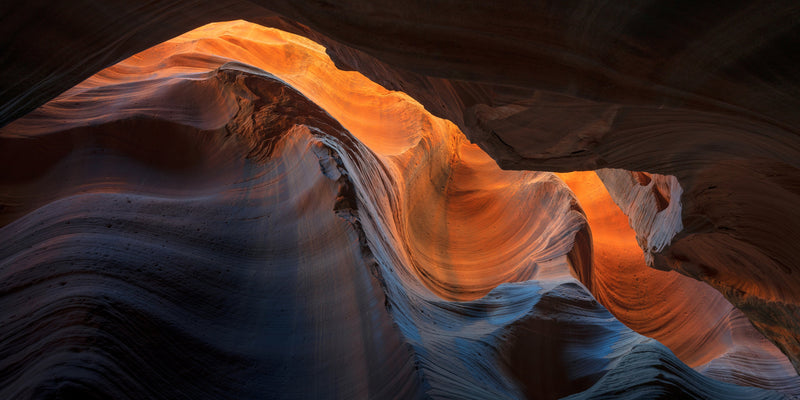 Cardiac Canyon Study 05