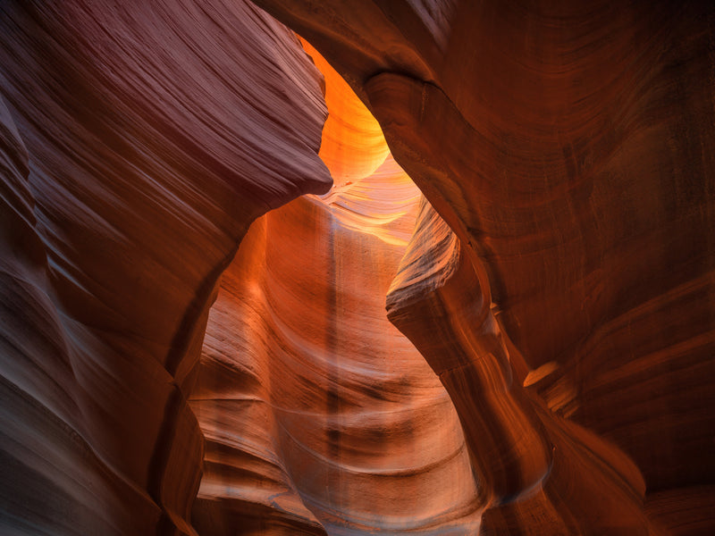 Cardiac Canyon Study 06