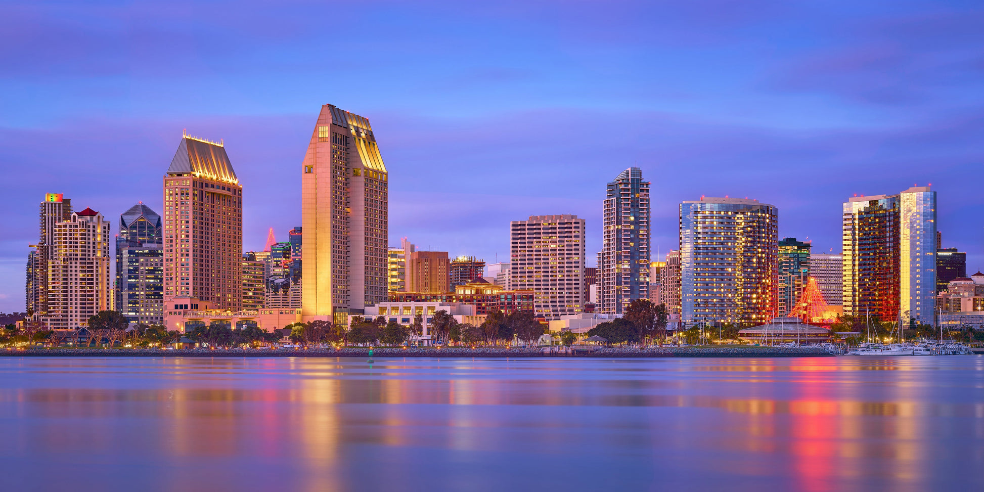 Downtown San Diego Skyline
