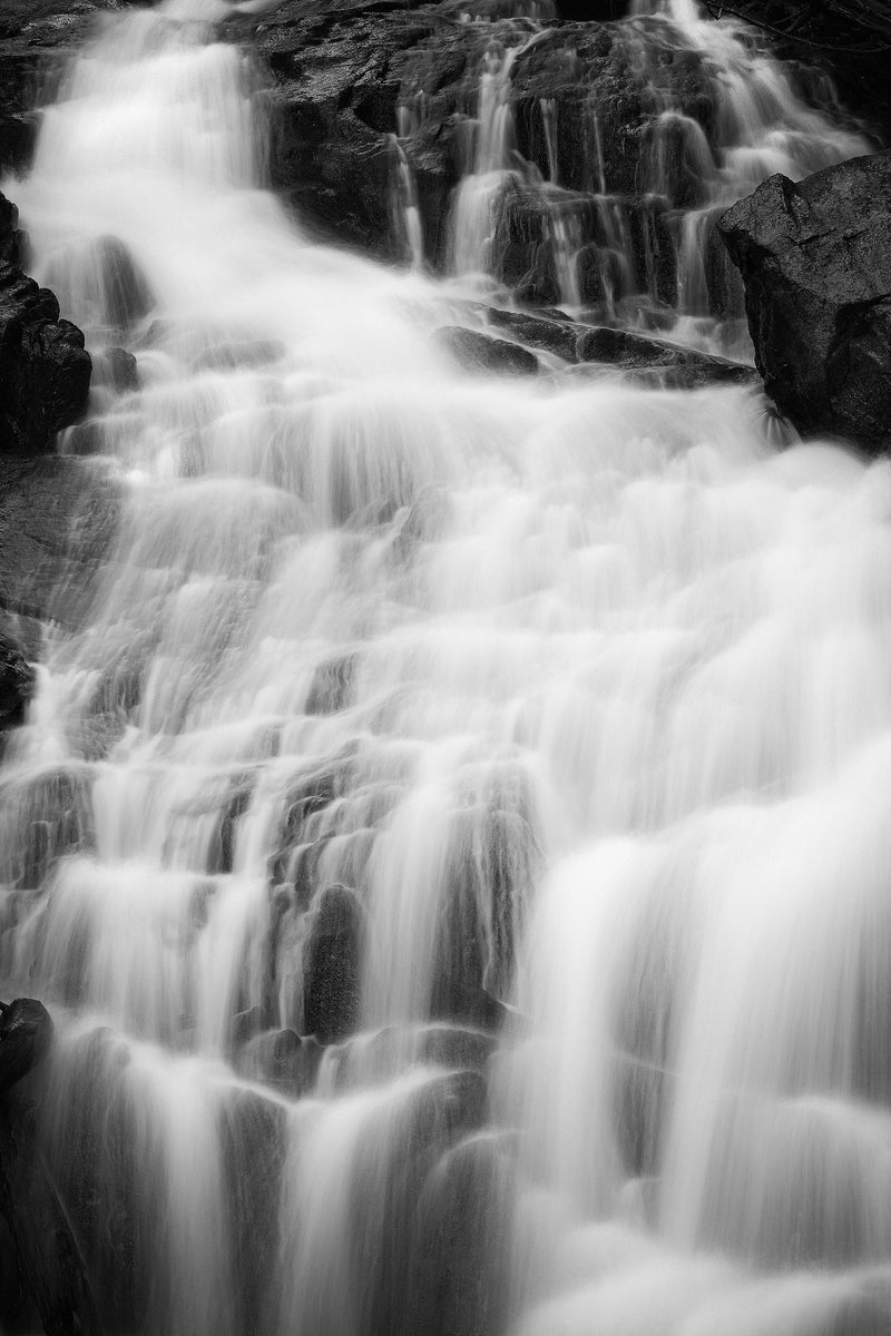 Fern Falls in Black and White