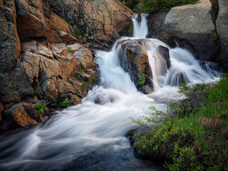 Icy Brook Reflected Light