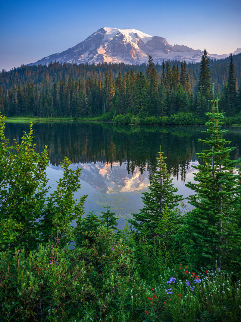 Mt Rainier in Reflection Lake