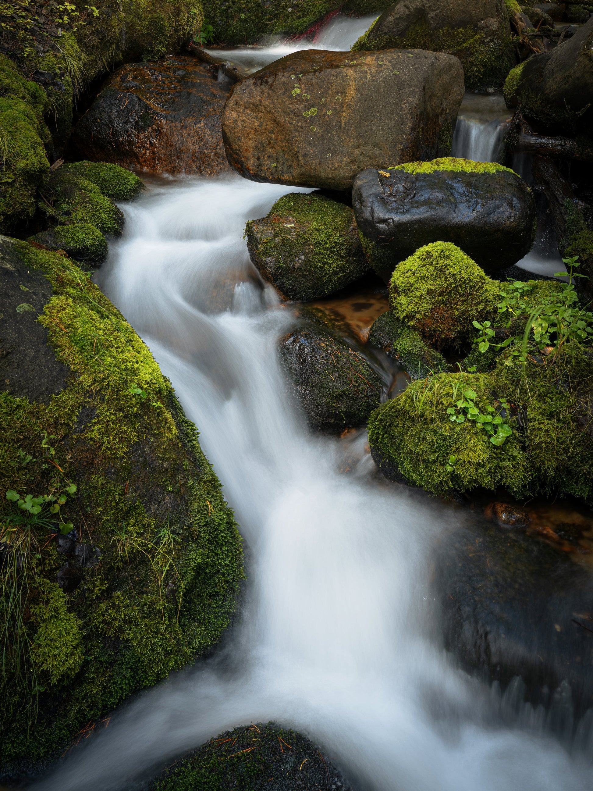 Rocky Brook
