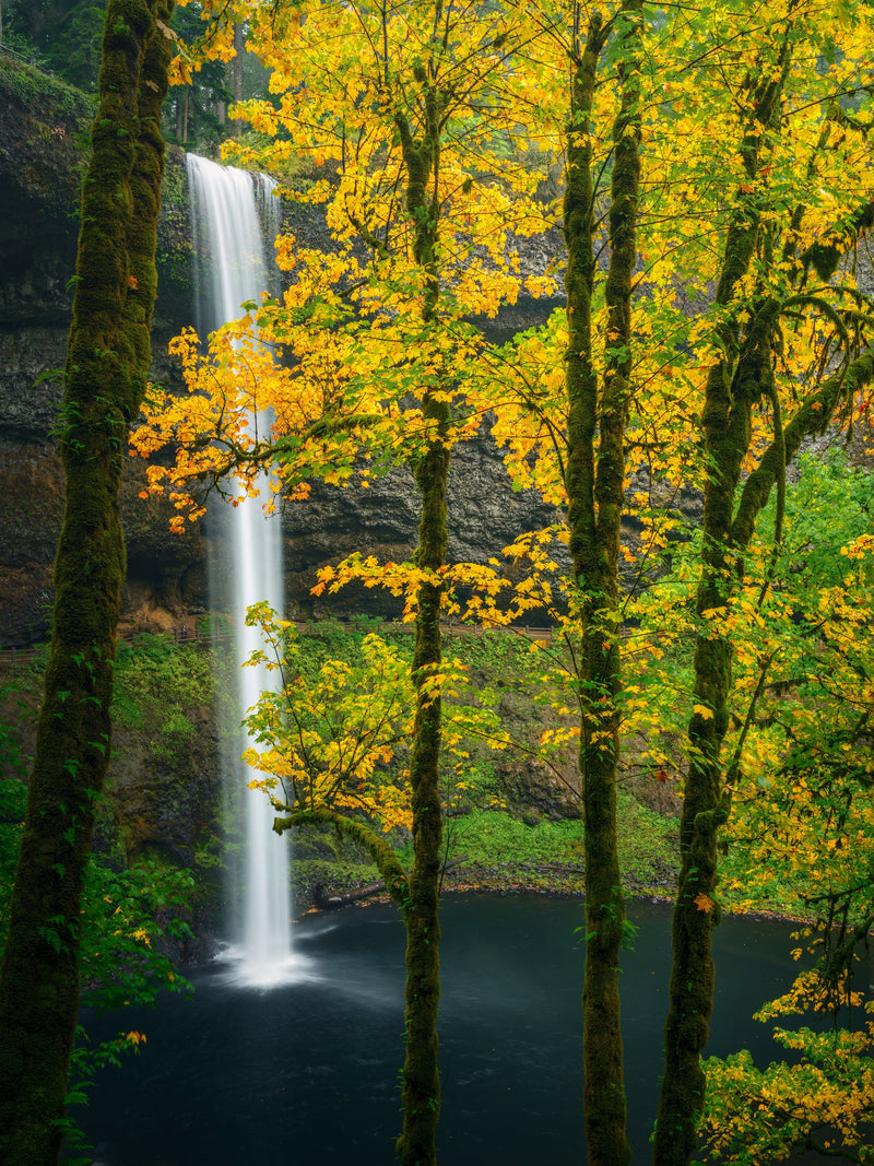 South Falls in Autumn