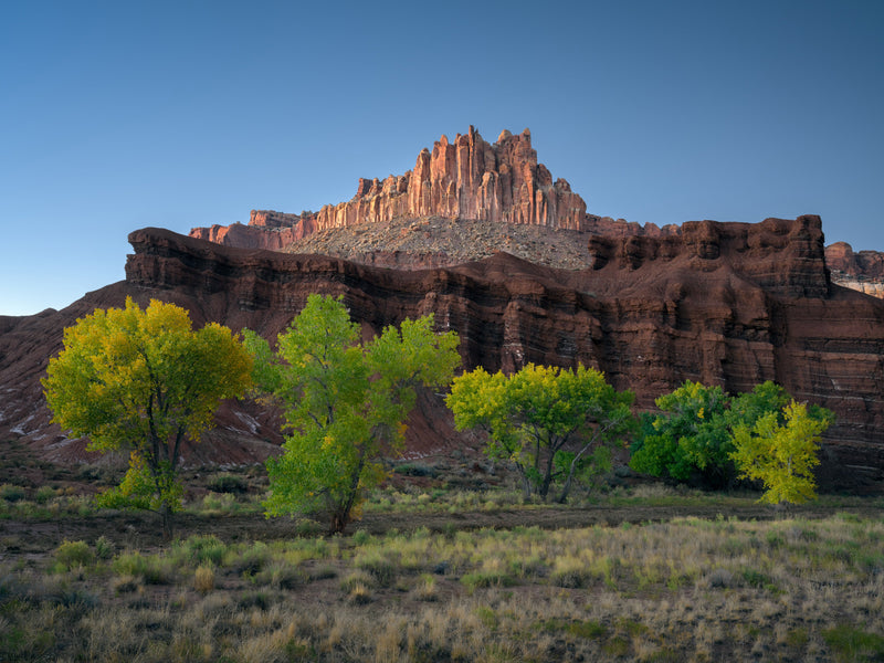 The Castle at Twilight