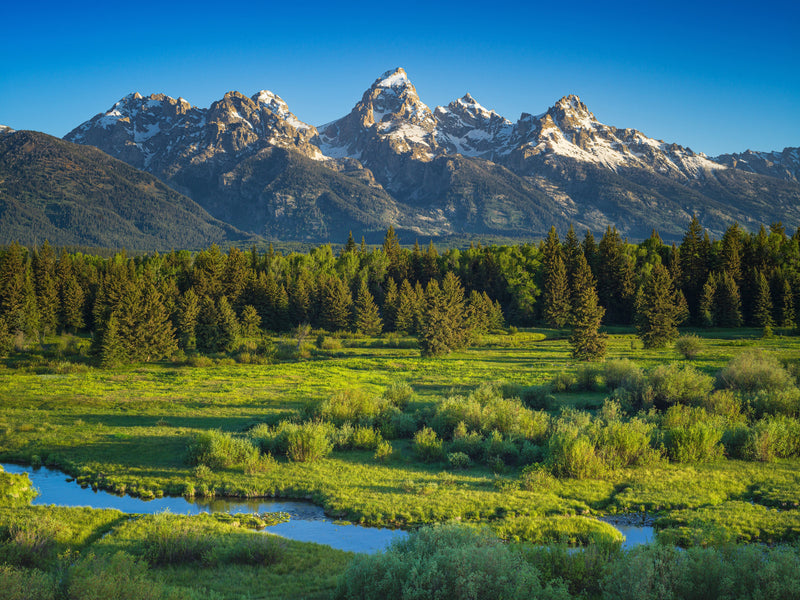 The Tetons from Blacktail Ponds Overlook